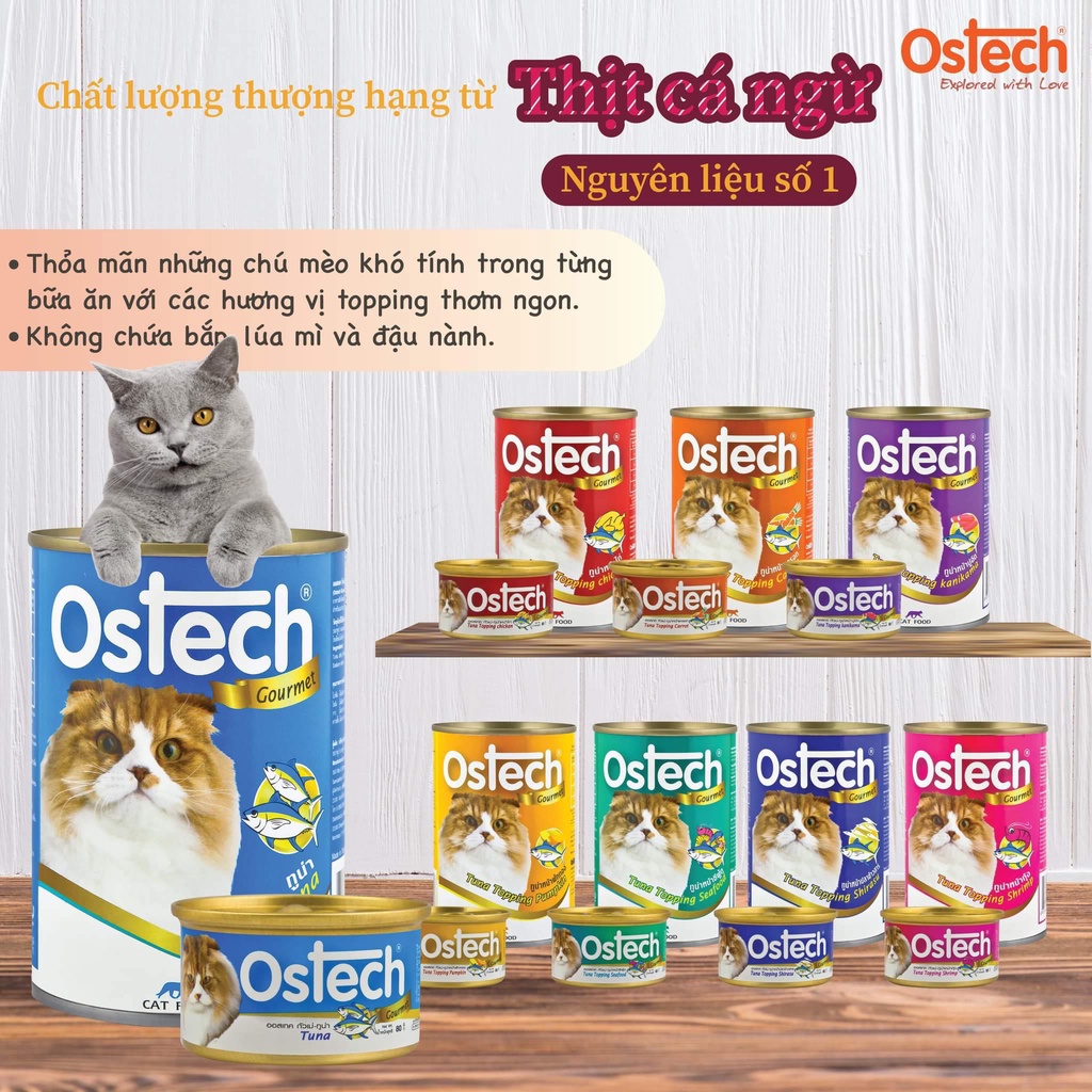 Pate cho mèo Ostech Gourmet Cat Food, Lon 400g