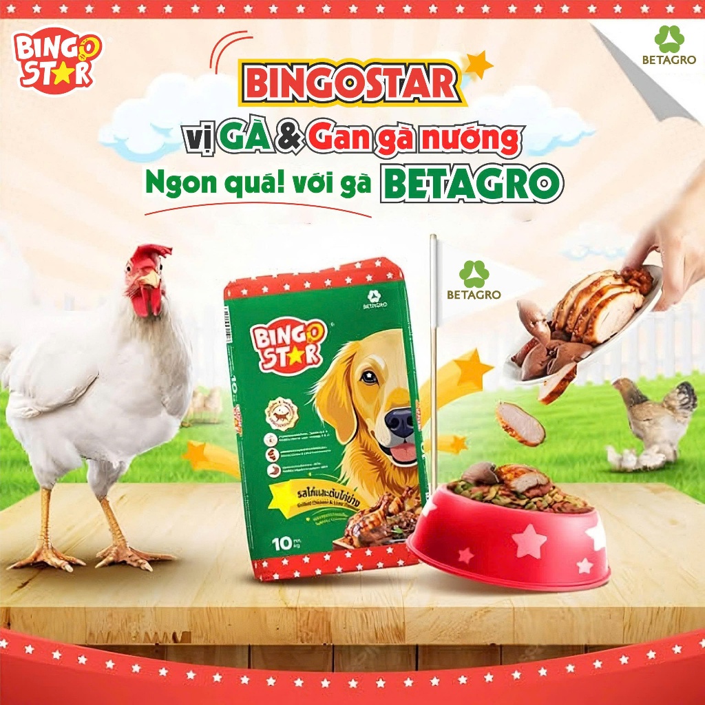 Thức ăn hạt cho chó BingoStar Adult Dog Food, Gói 1kg