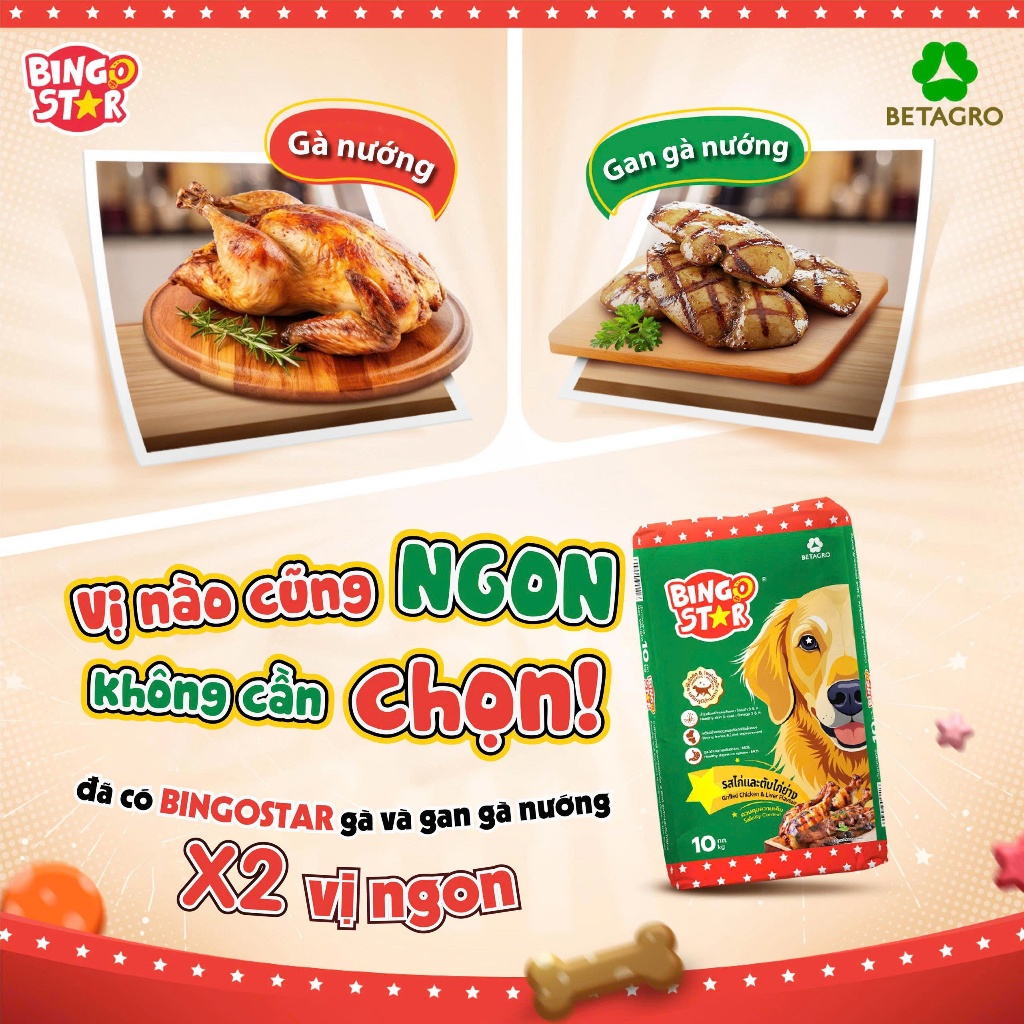 Thức ăn hạt cho chó BingoStar Adult Dog Food, Gói 1kg