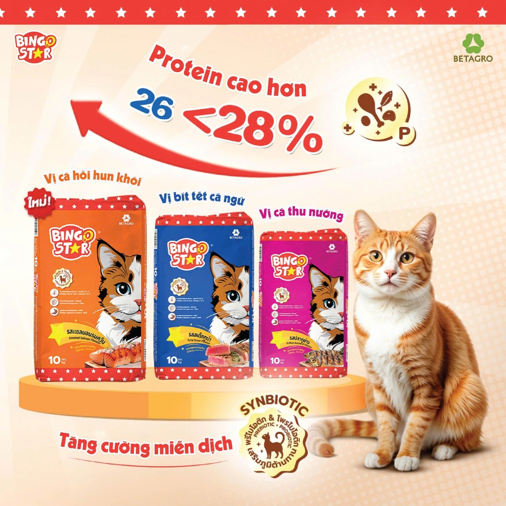 Thức ăn hạt cao cấp cho mèo BingoStar Adult Cat Food, Gói 1 kg